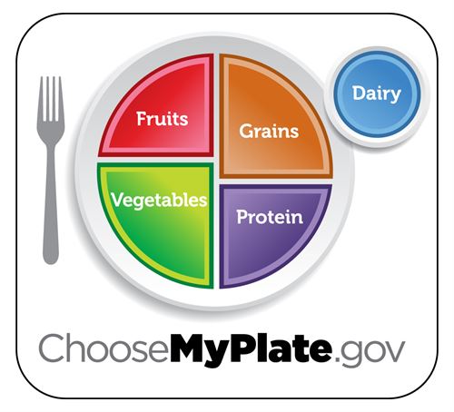 A banner of a plate, cup and fork with text that says choosemyplate.gov 